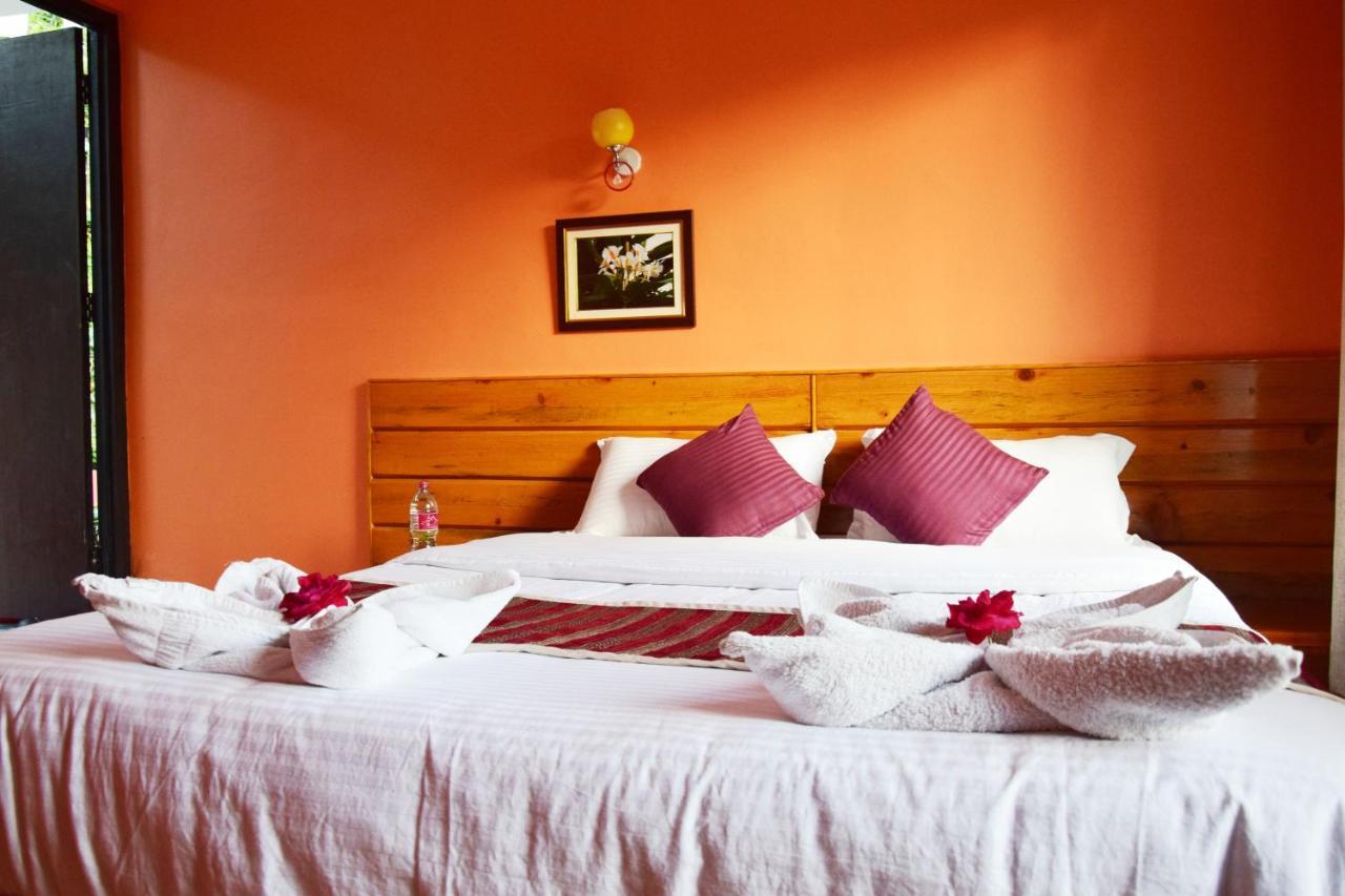 Siddhartha Garden Ayurveda Hotel โพคารา ภายนอก รูปภาพ